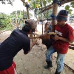 Layanan salon sapi di Pasar Dimoro, Kota Blitar, Senin (10 Juni 2024)