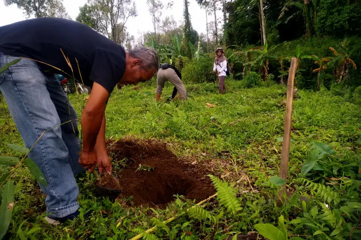 penanaman bambu sendang tampi asih petung ombo