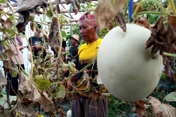 swarga tani sabda langit